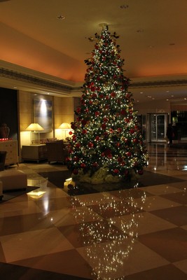 Lighting of the Christmas Trees
